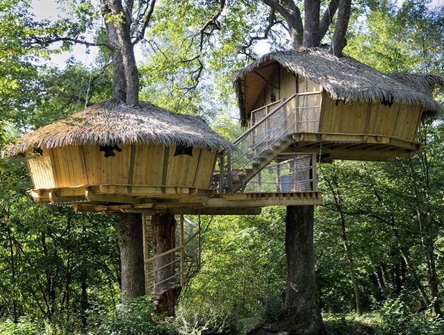 box cabane arbre